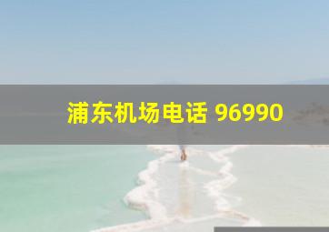 浦东机场电话 96990